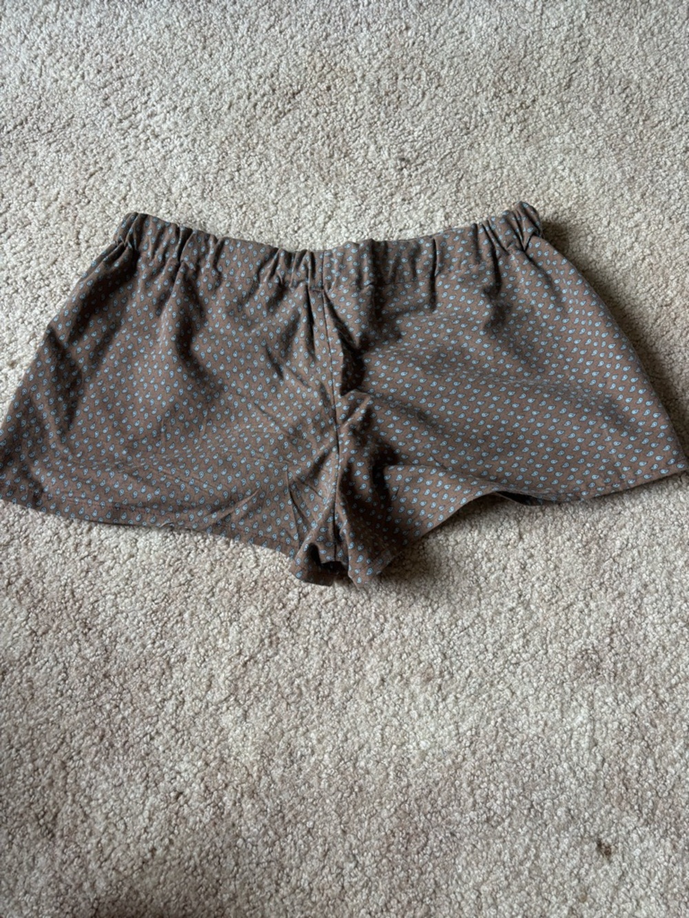 Brown & Blue Paisley Shorts